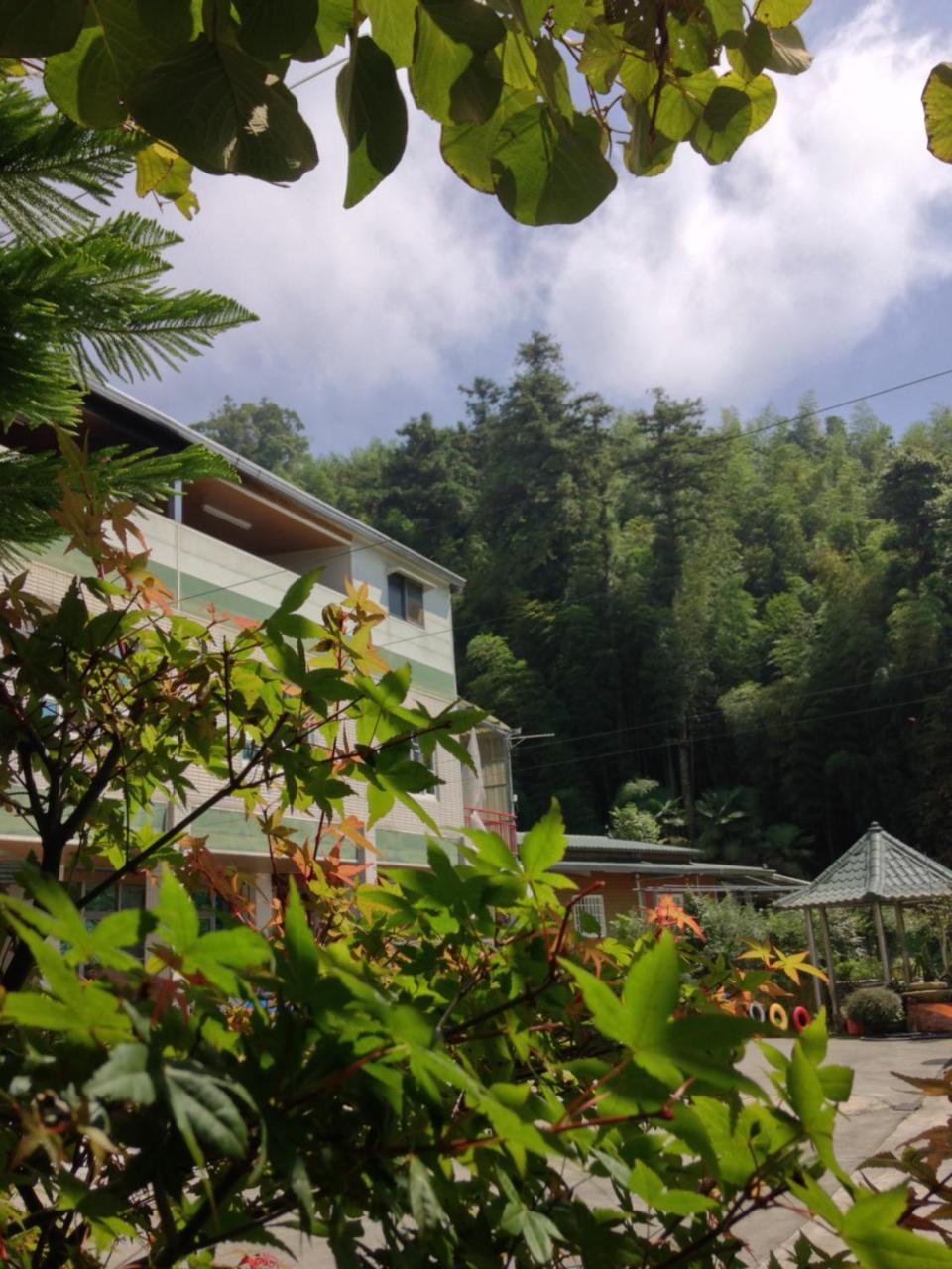 Alishan Mao Hsin Fenchihu Luaran gambar